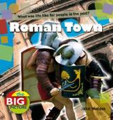 Roman Town (The Big Picture) image