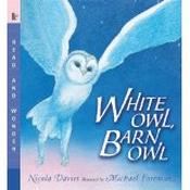 White Owl, Barn Owl image