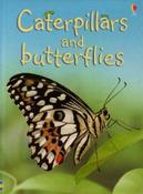 Caterpillars and Butterflies (Usborne Beginners) image