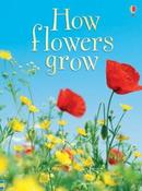 How Flowers Grow (Usborne Beginners) image