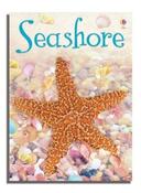Seashore (Usborne Beginners) image