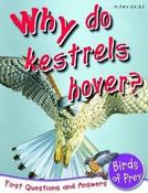 Birds of Prey: Why Do Kestrels Hover? First Questions and Answers image