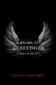 A Crack in Everything: Welcome to the other side image