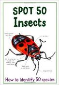 Spot 50 Insects image