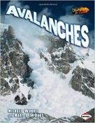 Disasters Up Close: Avalanches image