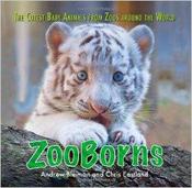 ZooBorns: The Cutest Baby Animals from Zoos Around the World! (Hardback) image