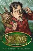 The Seeing Stone (Spiderwick Chronicles) 2 image