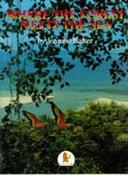 Where the Forest Meets the Sea image