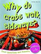 Seashore Life: Why Do Crabs Walk Sideways? First Questions and Answers image