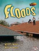 Disasters Up Close: Floods image
