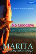 No Goodbye image