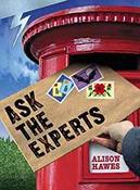 Lightning Non Fiction Year 3: Ask the Experts Book 3 image