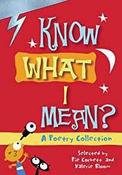 Lightning Poetry Year 4: Know What I Mean (LIGHTNING -FICTION) image
