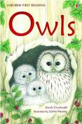 Owls (First Reading Level 4) image