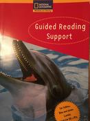 National Geographic Windows on Literacy Yellow, Blue, Green Level: Guided Reading Support (NATIONAL GEOGRAPHIC FICTION) image