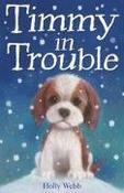 Timmy in Trouble image