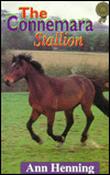 Connemara Stallion image
