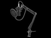 Radium 300 Studio Microphone with Arm &amp; Popfilter | XLR