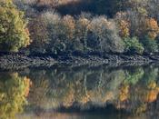 Drakes Pool Autumn 2020 30x40cm Print | Ted Murphy Photography image
