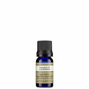 Lavender  Essential Oil image