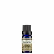 Ylang Ylang Organic image
