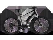 Polygon Kalosi Lanes Evo HS Electric Bike