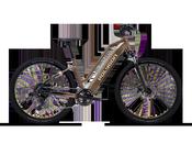Polygon Kalosi Miles LS Electric Bike