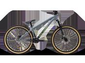 Polygon Trid Dirt Jump Bike image
