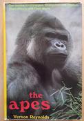 Vernon Reynolds - The Apes  : The Gorilla Chimpanzee Orangutan and Gibbon - Their History and their World - HB - 1967