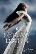 Jocelyn Davies / A Beautiful Dark (Hardback) image