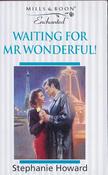 Mills &amp; Boon / Enchanted / Waiting for Mr Wonderful! image