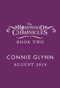 Connie Glynn / Princess in Practice (Large Paperback) image