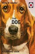 Ladybird / How it works : The Dog image