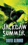 David Almond / Jackdaw Summer image