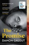 Galgut Damon / The Promise image