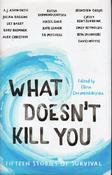 Elitsa Dermendzhiyska / What Dosen't Kill You - 15 Stories of Survival (Hardback) image