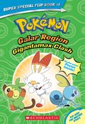 Pokemon: Galar / Alola Region image