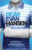 Steven Levenson / Dear Evan Hansen (Large Paperback) image