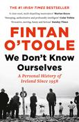 Fintan O'Toole / We Don't Know Ourselves image