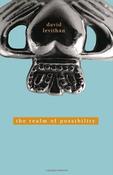 David Levithan / The Realm of Possibility (Large Paperback) image