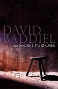 David Baddiel / The Secret Purposes (Large Paperback) image