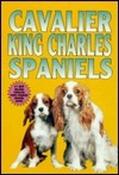 Beverley Cuddy / Cavalier King Charles Spaniels (Large Paperback) image
