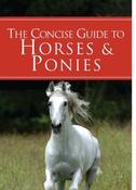 Corinne Clark / A Concise Guide to Horses (Large Paperback) image