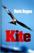 Melvin Burgess / Kite (Hardback) image