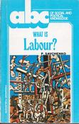 Paul Savchenko / What is Labour? (Vintage Paperback) image