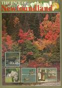Jacob Smallwood - The Face of Newfoundland - HB - 1977 image