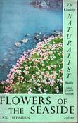 Ian Hepburn / Flowers of the seaside (Exact Copy) image