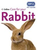 Heather Thomas / Care for Your Rabbit (Children's Picture Book) image
