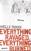Wells Tower / Everything Ravaged, Everything Burned (Large Paperback) image