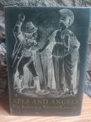 L Perry Curtis - Apes and Angels : The Irishman in Victorian Caricature - HB - 1ST eD 1971